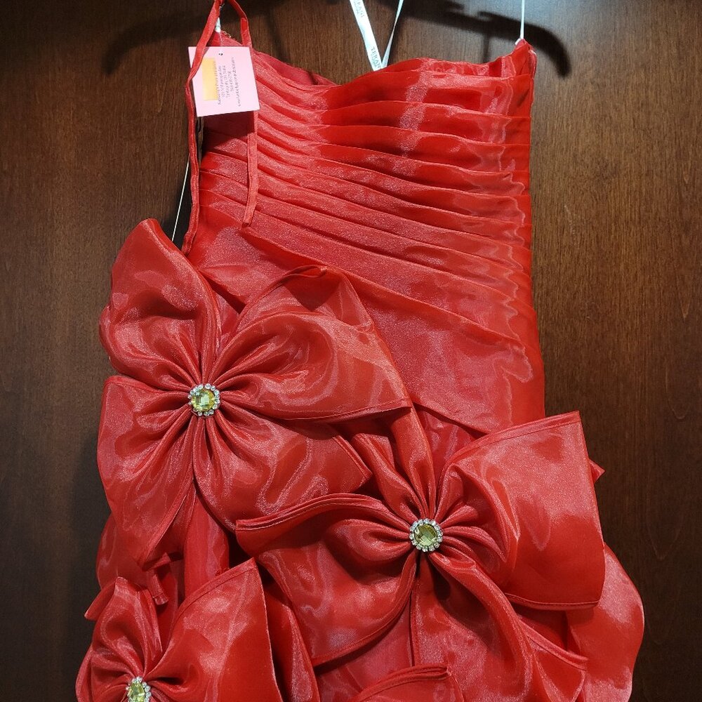 Precious Formals P154 Size 2 Red Prom Dress - Picture 9 of 10